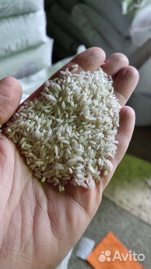 Рис для животных во Владимире