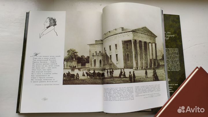 Книги об Александре Сергеевиче Пушкине Пушкиниана