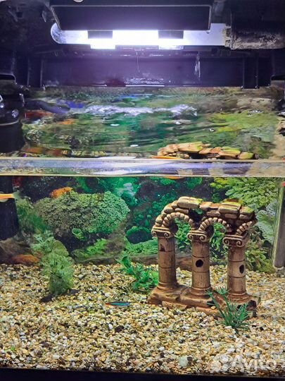 Аквариум 25 литров