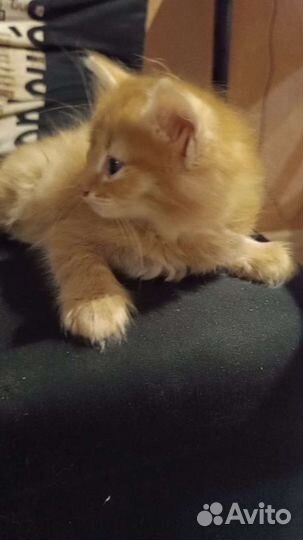 Мальчик в самые добрые ручки