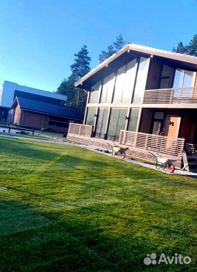 Рулонный газон