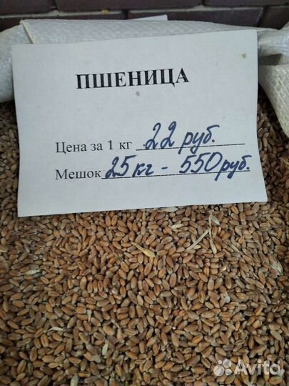 Комбикорм, зерно