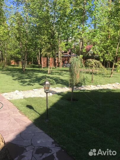 Рулонный газон