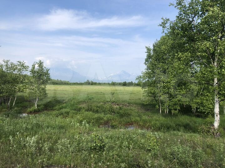 Участок 100 сот. (СНТ, ДНП)