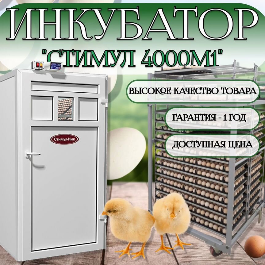 Инкубатор автоматический для яиц стимул-4000М1П