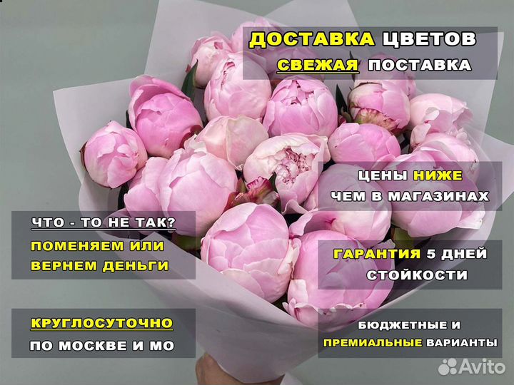 Пионы, цветы от производителя. Работаем 24 часа