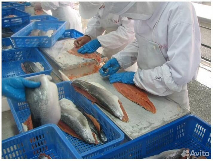 Вахта Калуга Упаковщики все включено