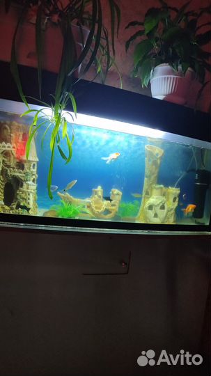 Аквариум с тумбой бу