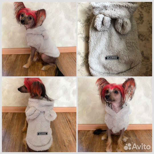 Одежда жля собак