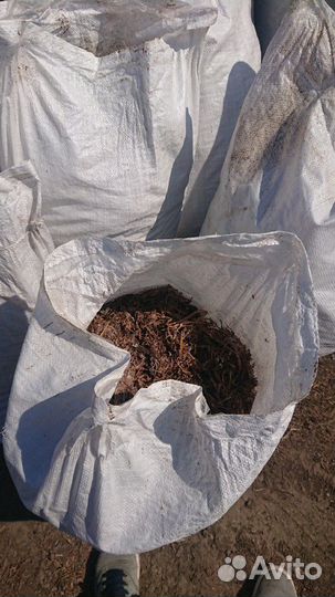 Компост из под шампиньонов