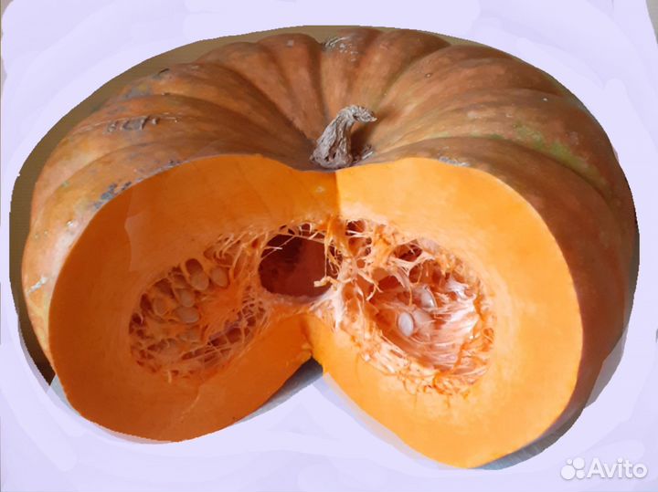 Семена тыквы,сорт неизвестен,крупноплодная,8-10 кг