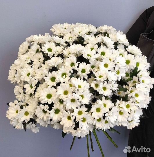 Хризантема Букеты доставка цветов