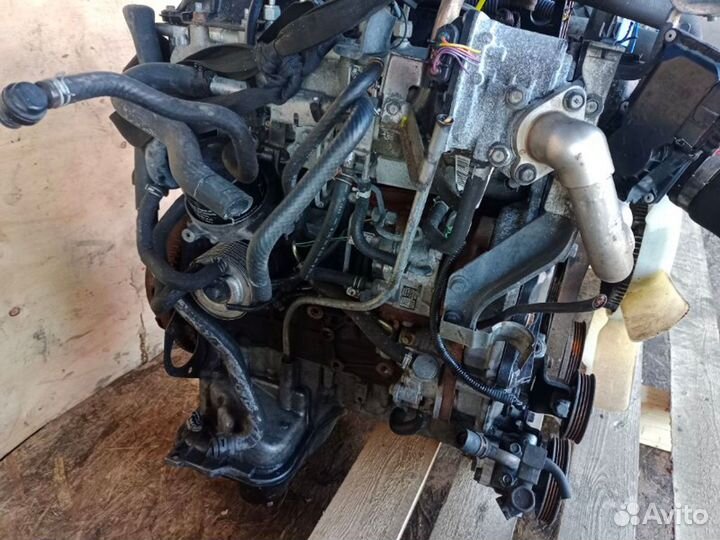 Двигатель Nissan Navara YD25ddti