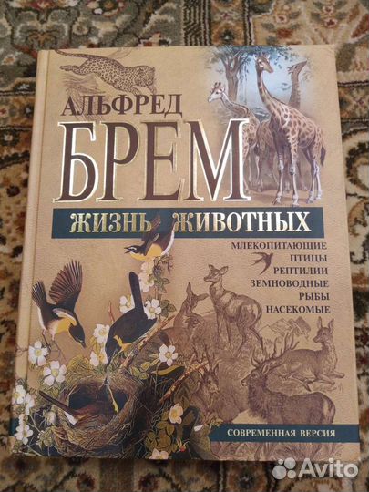Энциклопедии