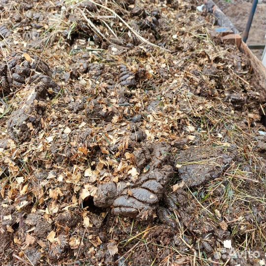 Навоз коровий