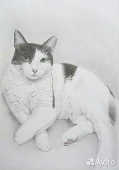 Портрет по фото карандашом