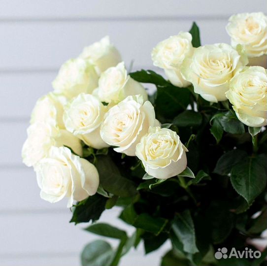 Высокие розы Букеты с доставкой