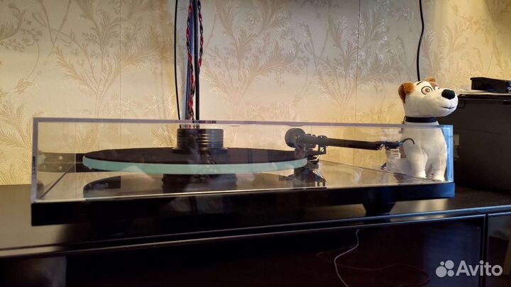 Rega planar 2, Rega phono MM