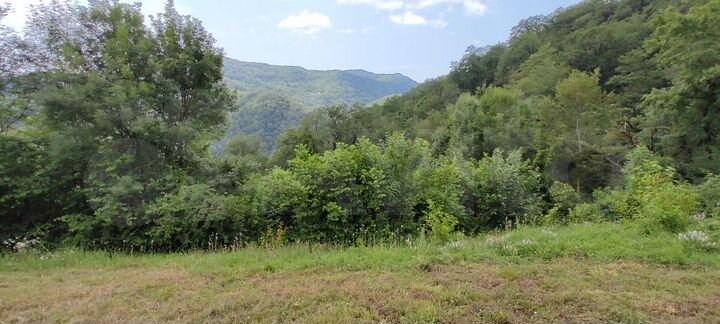 Участок 9,9 сот. (СНТ, ДНП)