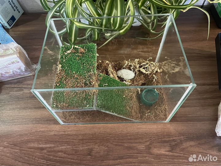 Террариум