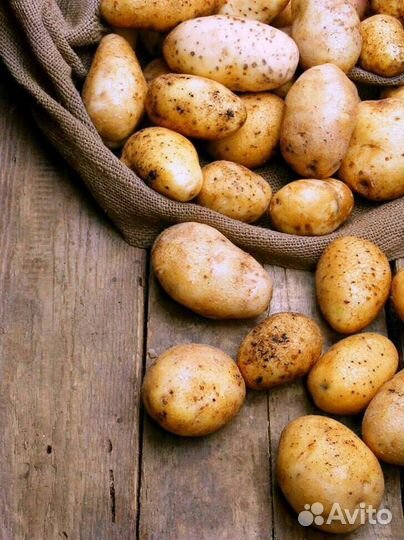 Продам картофель