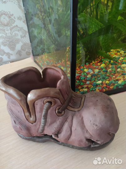 Аквариумные рыбки