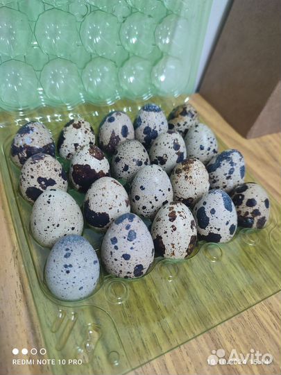 Яйца перепелиные