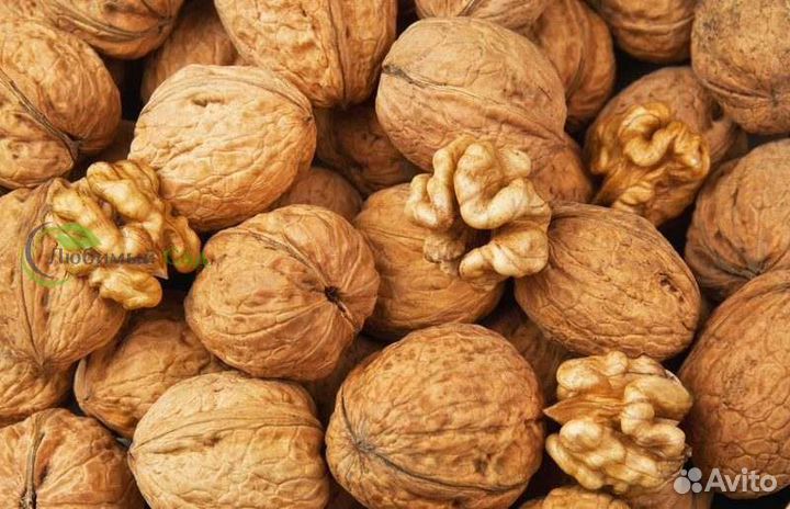Грецкий орех