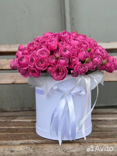 Розы джульетта / доставка цветов