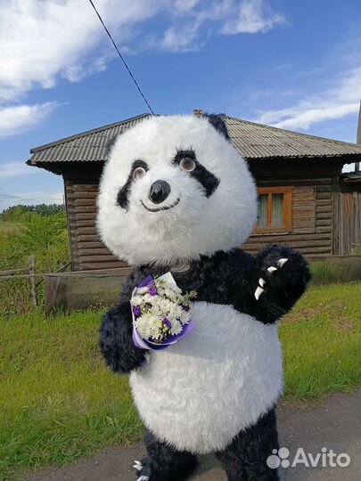 Поздравление. Большой мишка. Ростовые куклы