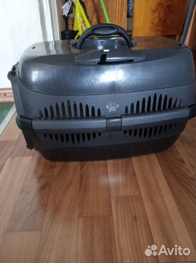 Переноска в аренду