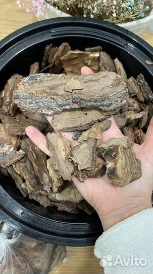 Кора сосны для орхидей