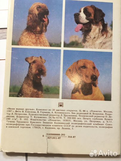 Открытки Наши верные друзья Собаки 19 из 20, 1987