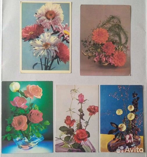 Открытки СССР. Цветы