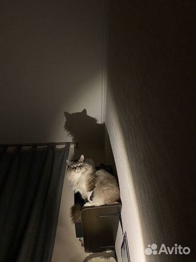 Полки навесные