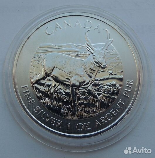 1 доллар 2023 США Шагающая Свобода 1 унция серебра