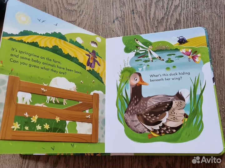 Книга с окошками на английском