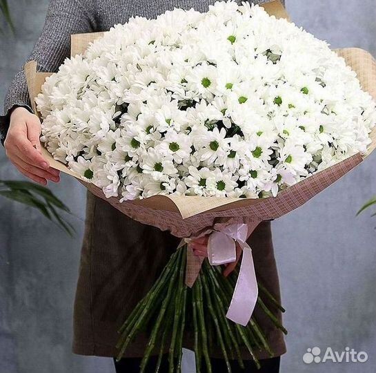 Хризантема