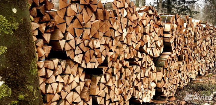 Заказ дров