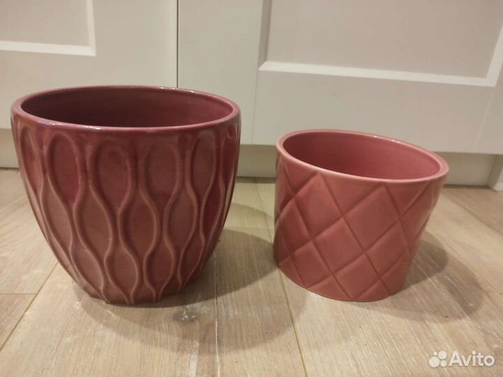 Аглаонема Мария