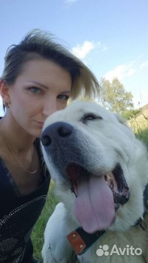 Кинолог. Зоопсихолог