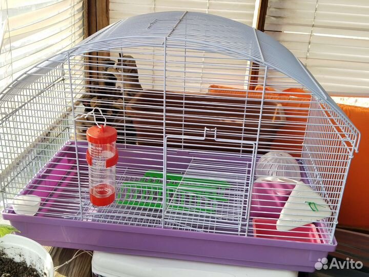 Клетка для грызунов, крыс