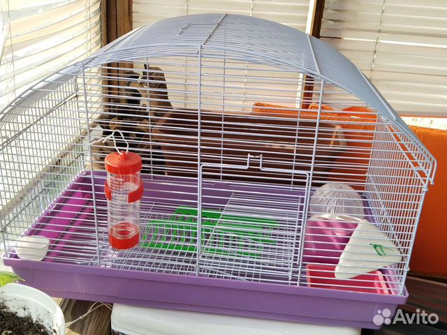 Клетка для грызунов, крыс