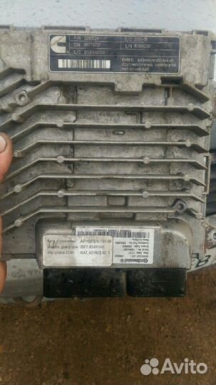 Эбу Газель Некст Каминс