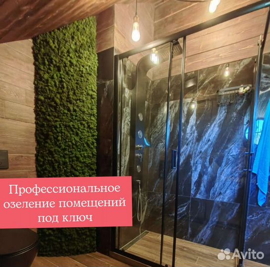 Фитопанели. Озеленение стен. Мох ягель, от