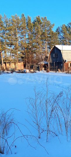 Участок 55 га (СНТ, ДНП)