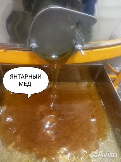 Мёд с дикого разнотравья