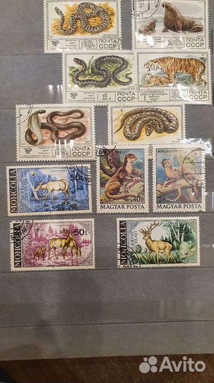 Почтовые марки кубы