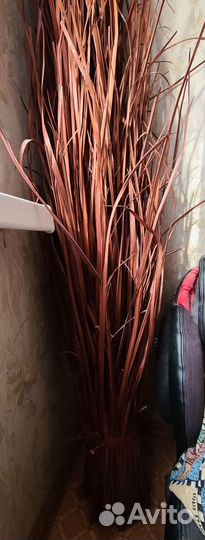 Икеа декоративный сухоцвет