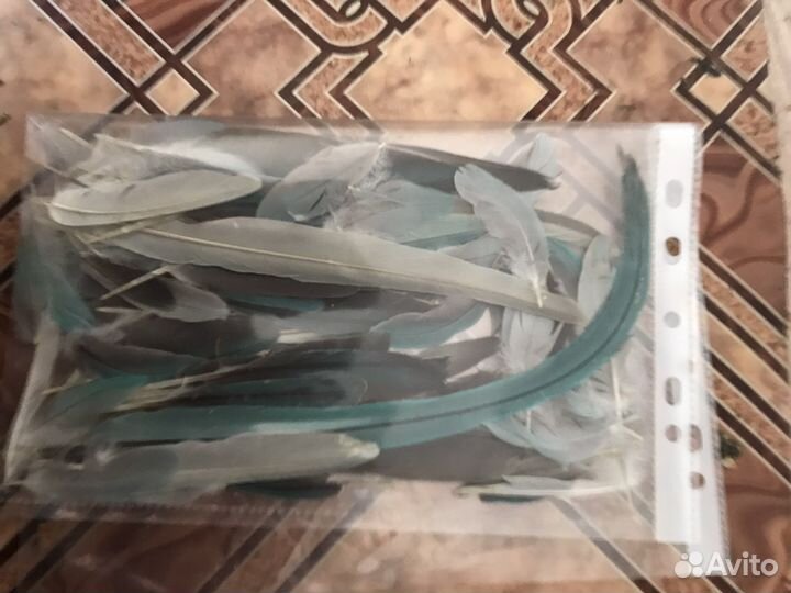 Перья от попугаев для поделок